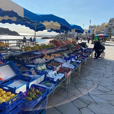 Alma * Blanes