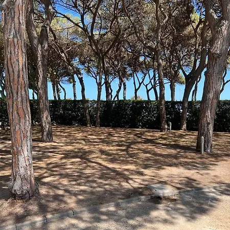 Apartamento Alma Apartment
