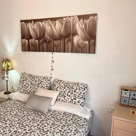 Alma Apartment *